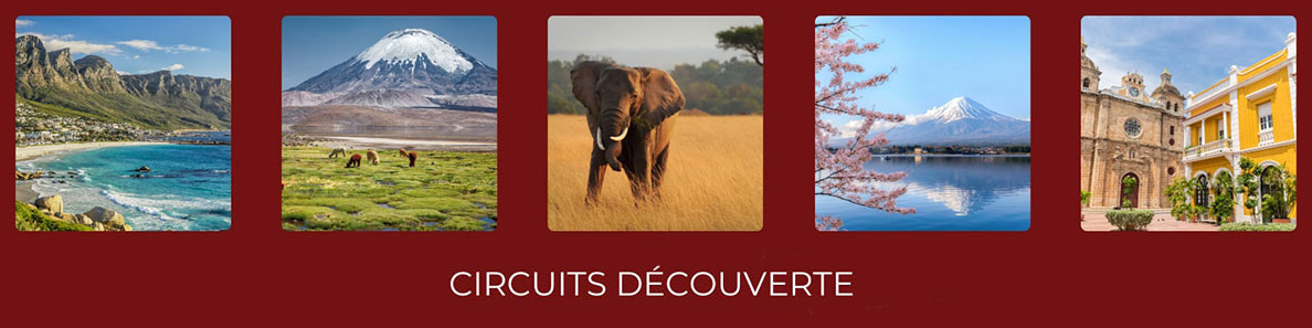 Circuits Découverte - Destinations tendances de l'hiver